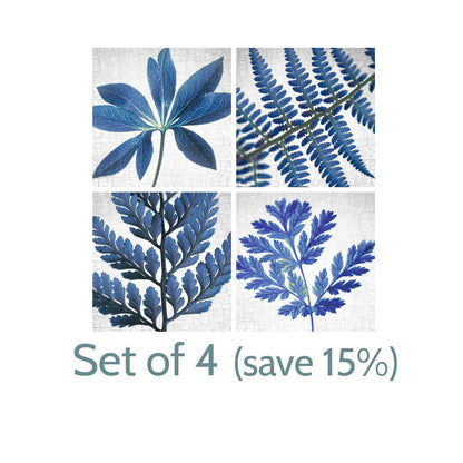 BLUE GHOST FERN - Fine Art Print, Botanical Blueprint