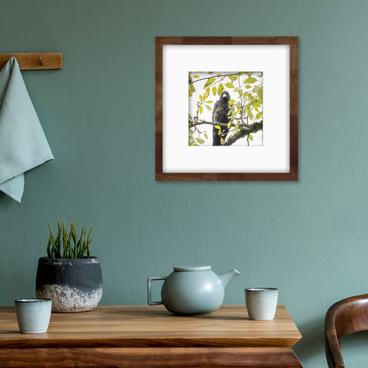 SHY SUMMER BABY - Fine Art Print, Crow Portrait Series