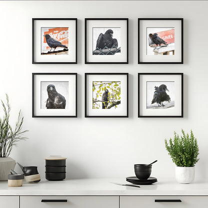 THINGS GO BETTER WITH CROWS - Fine Art Print, Crow Portrait Series