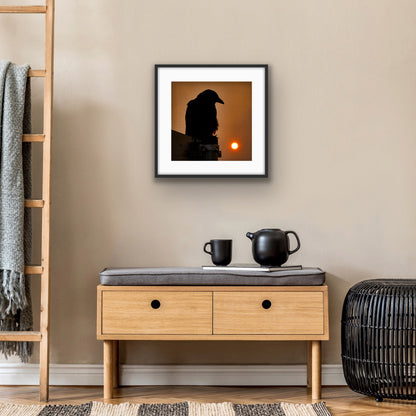 SMOKY SUNRISE - Fine Art Print, Crow Portrait Series