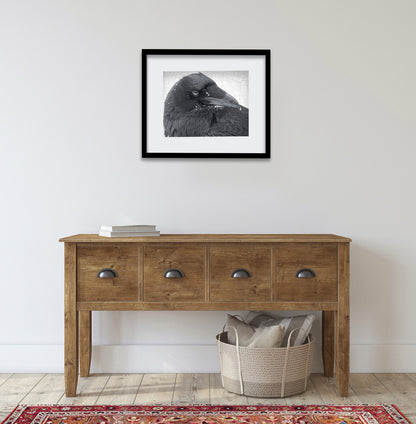 SNOW BEARD - Fine Art Print, Raven Portrait Series