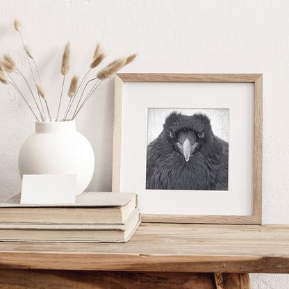 WATCHER IN THE SNOW - Fine Art Print, Raven Portrait Series