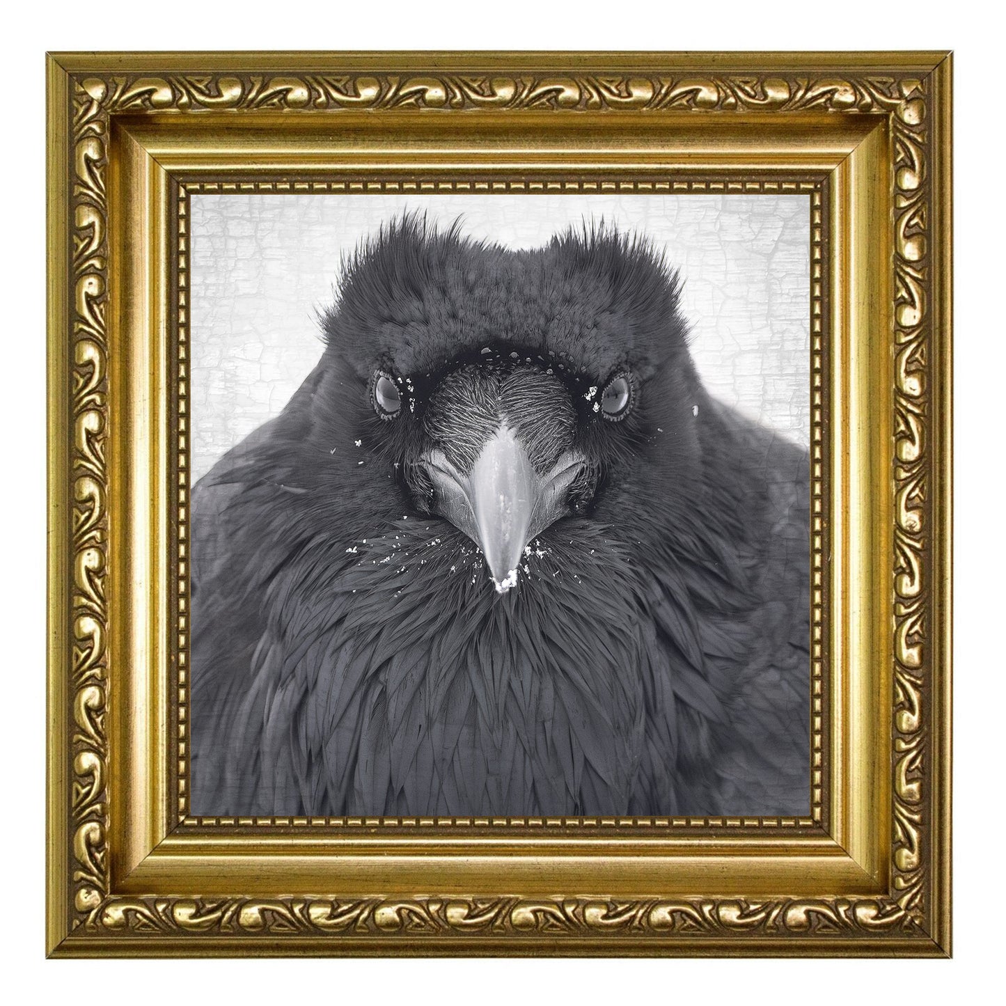 WATCHER IN THE SNOW - Fine Art Print, Raven Portrait Series