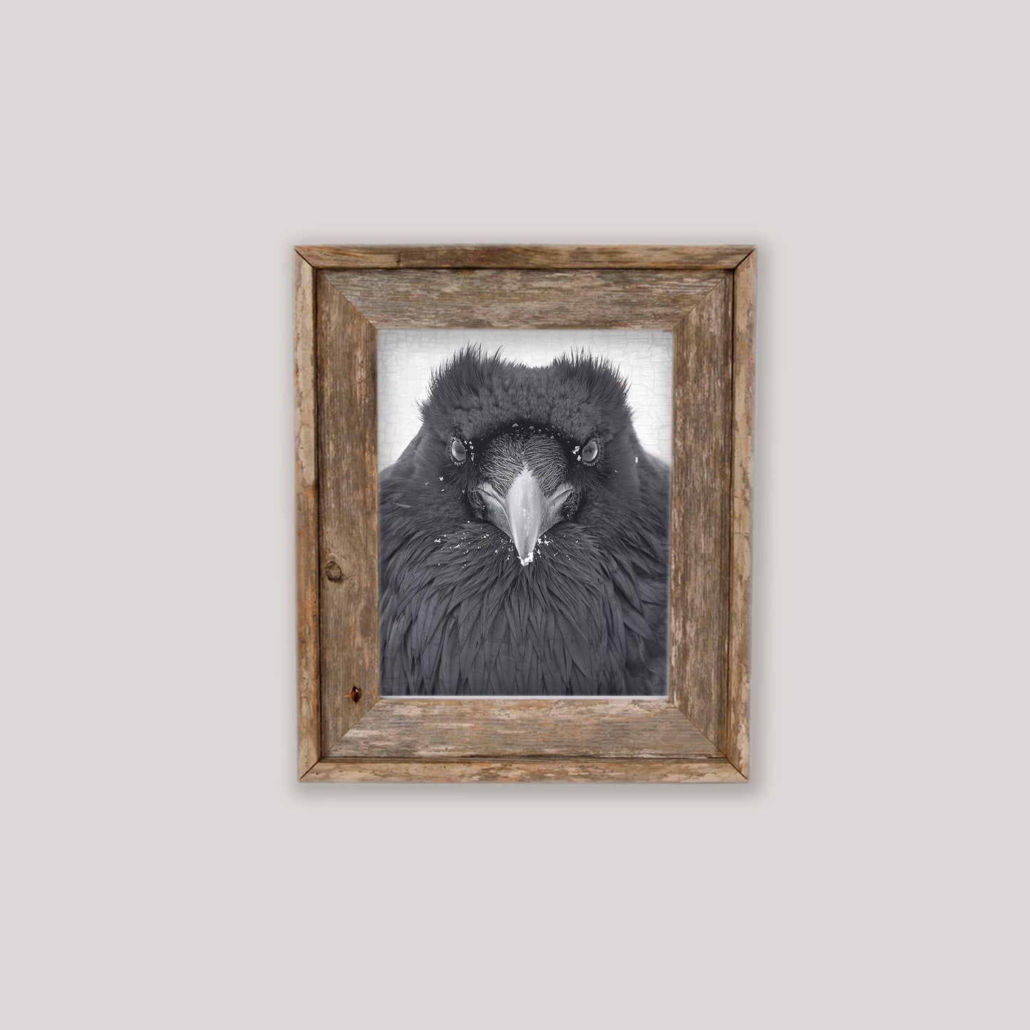 WATCHER IN THE SNOW - Fine Art Print, Raven Portrait Series