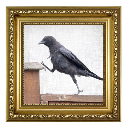 STEP UP - Fine Art Print, Crow Portrait Series