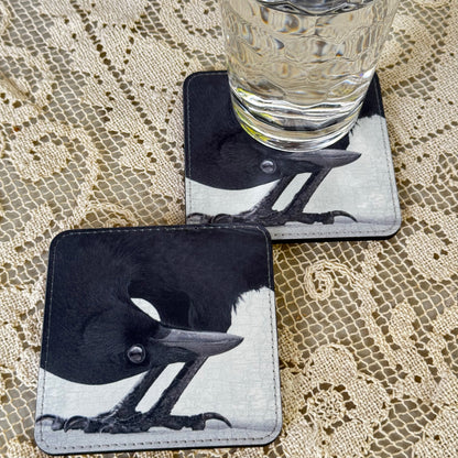 UPSIDE DOWN CROW — Coaster