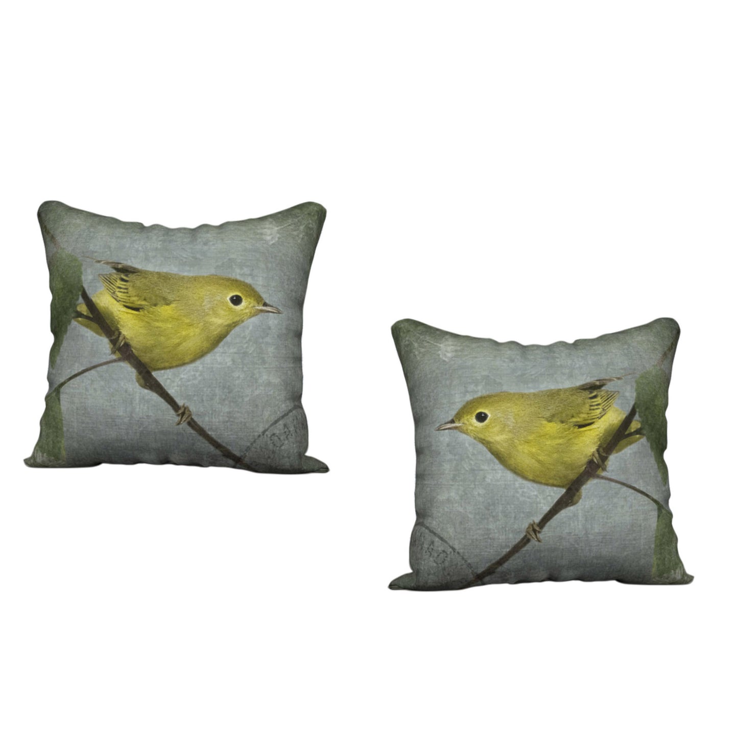 ORANGE CROWNED WARBLER — Bird Cushion Cover — SALE