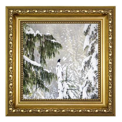 WINTER WOODS - Fine Art Print, Raven Portrait Series