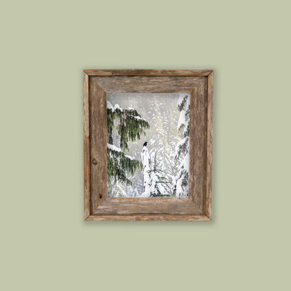 WINTER WOODS - Fine Art Print, Raven Portrait Series