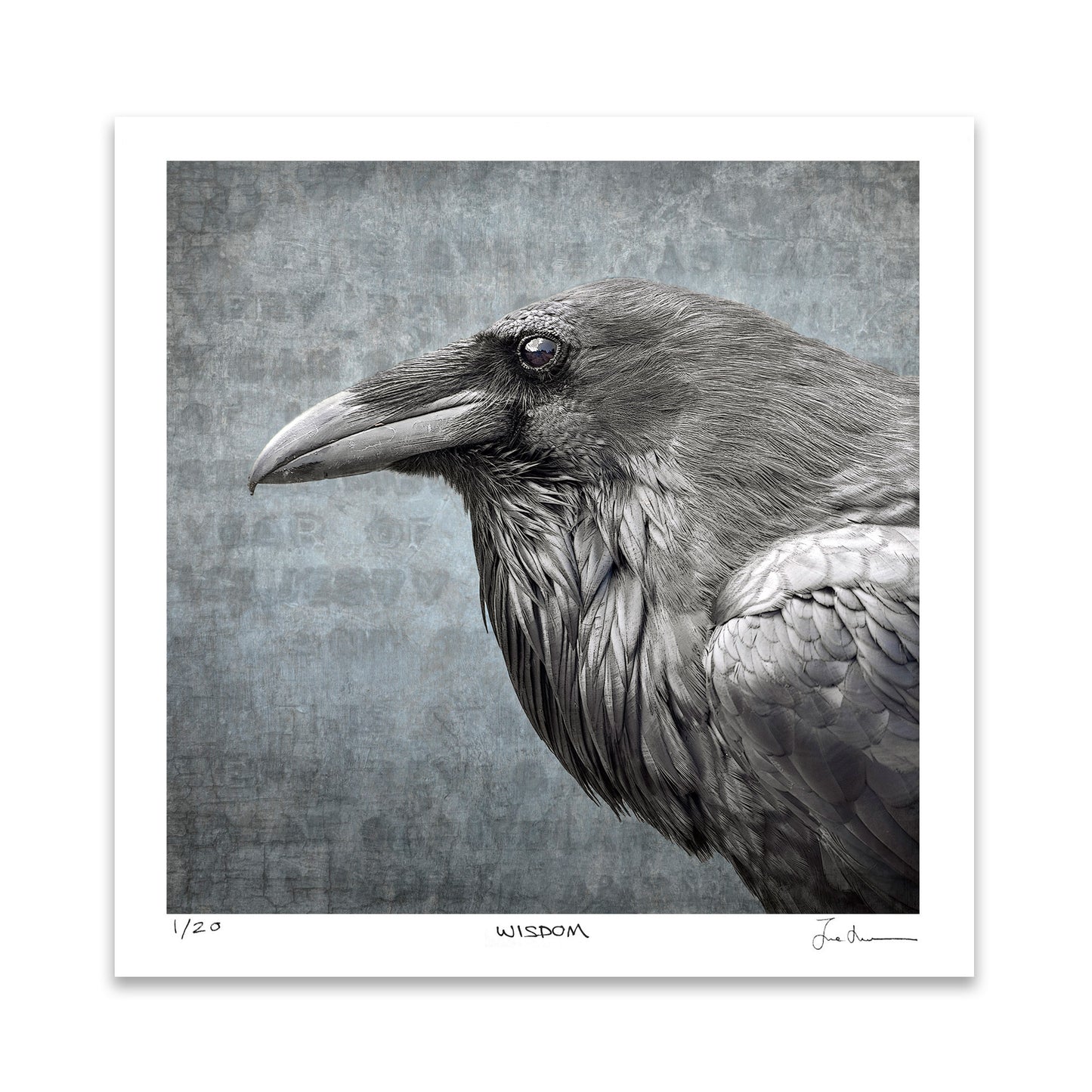 WISDOM — Limited Edition Art Print