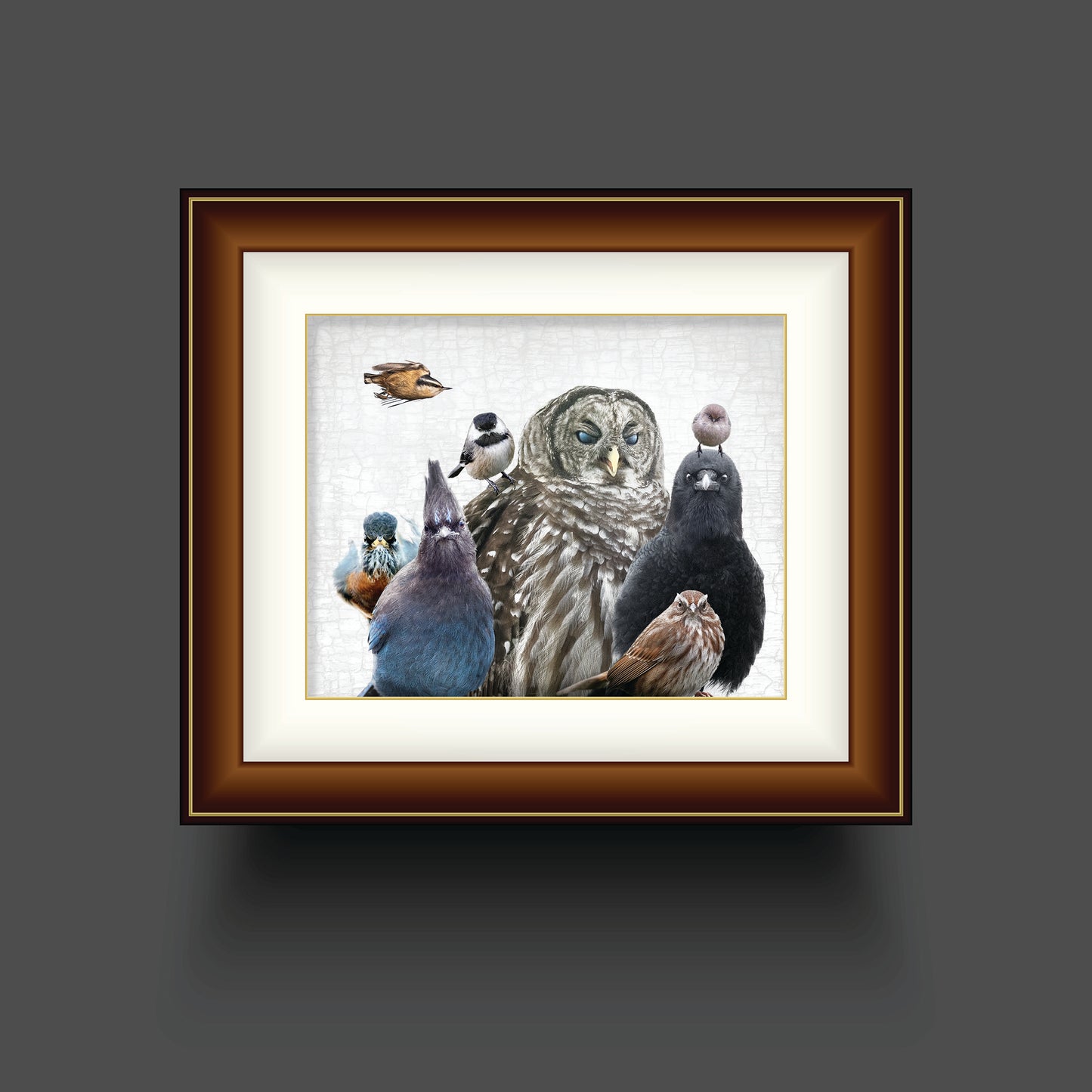 BIRDS OF JUDGEMENT — Fine Art Print, Judgemental Birds Collection