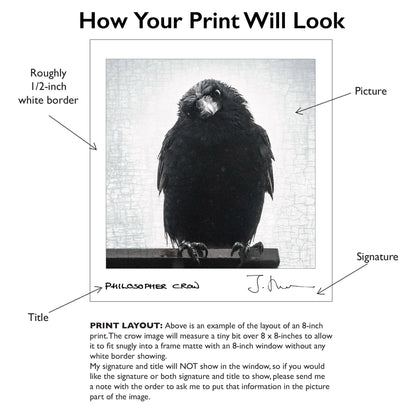CHERRY CROW - Fine Art Print, Crow Portrait Series