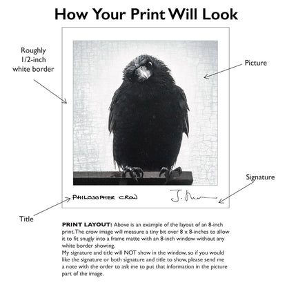 MAGNIFICENT MARVIN - Fine Art Print, Crow Portrait Series