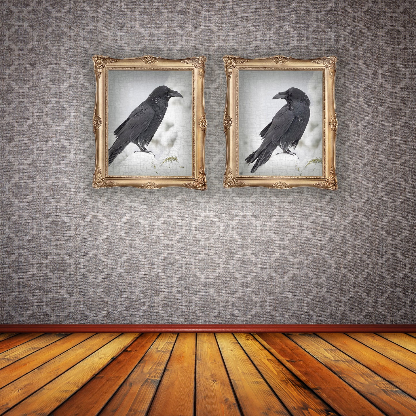 RAVEN LOOKS FORWARD - Fine Art Print, Raven Portrait Series