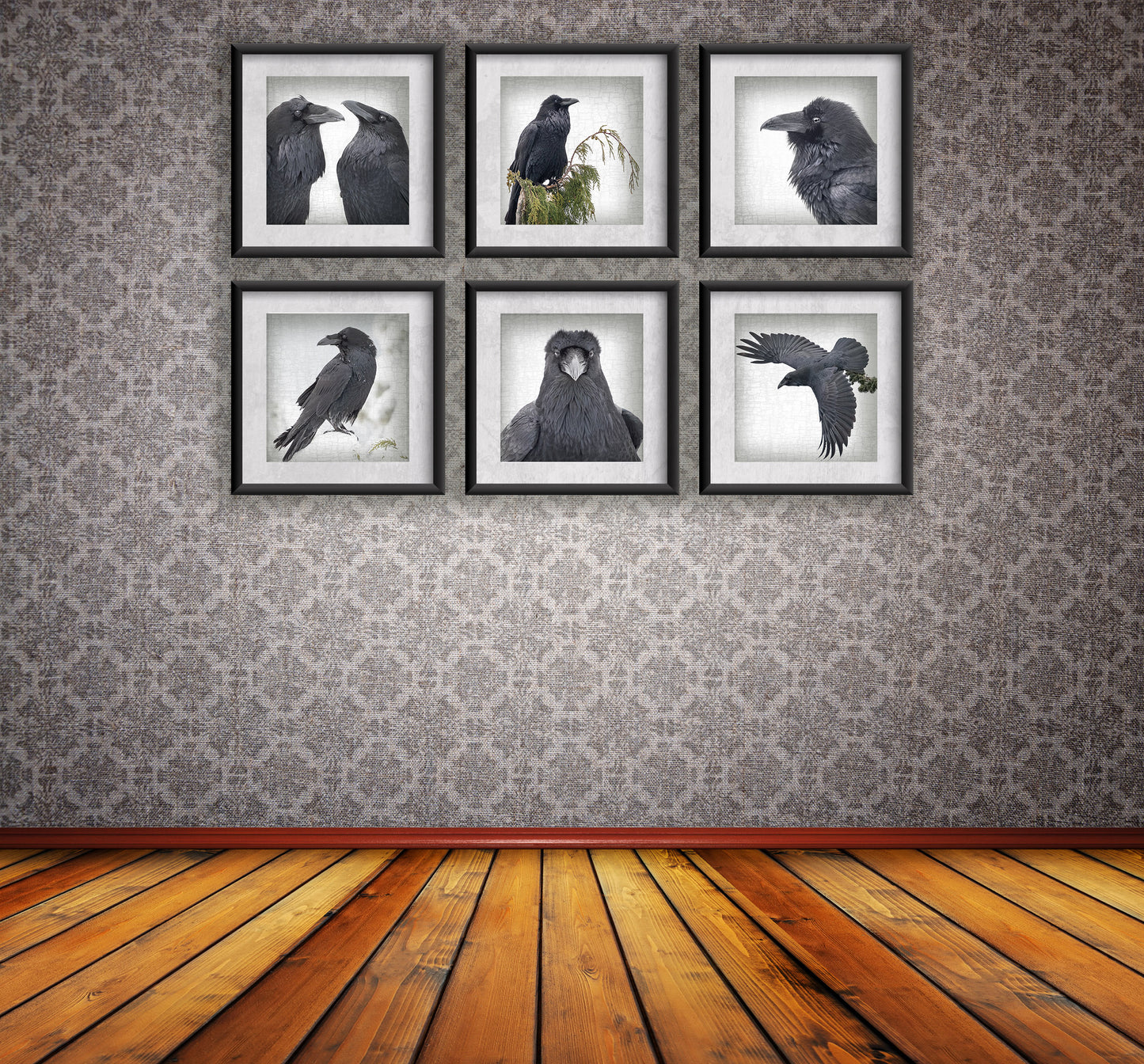 RAVEN'S WINGS - Fine Art Print, Raven Portrait Series