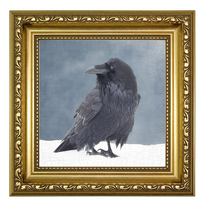 RAVEN IN A BLUE NOTE - Fine Art Print, Raven Portrait Series