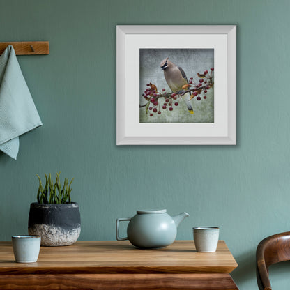 CEDAR WAXWING - Fine Art Print, Garden Birds Series