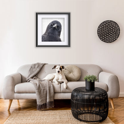 THE WATCHER - Fine Art Print, Crow Portrait Series