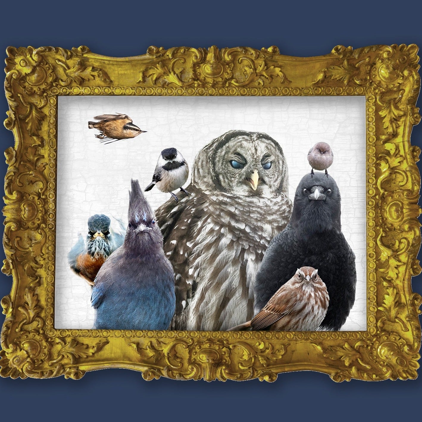 BIRDS OF JUDGEMENT — Fine Art Print, Judgemental Birds Collection