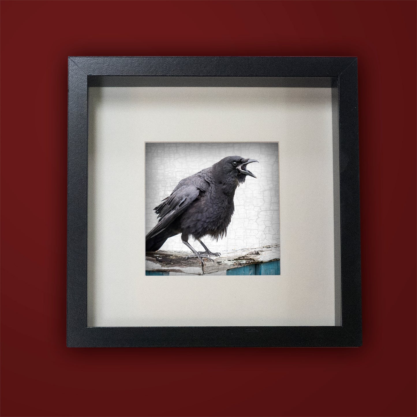 A LOCAL NEWS SOURCE - Fine Art Print, Crow Portrait Series