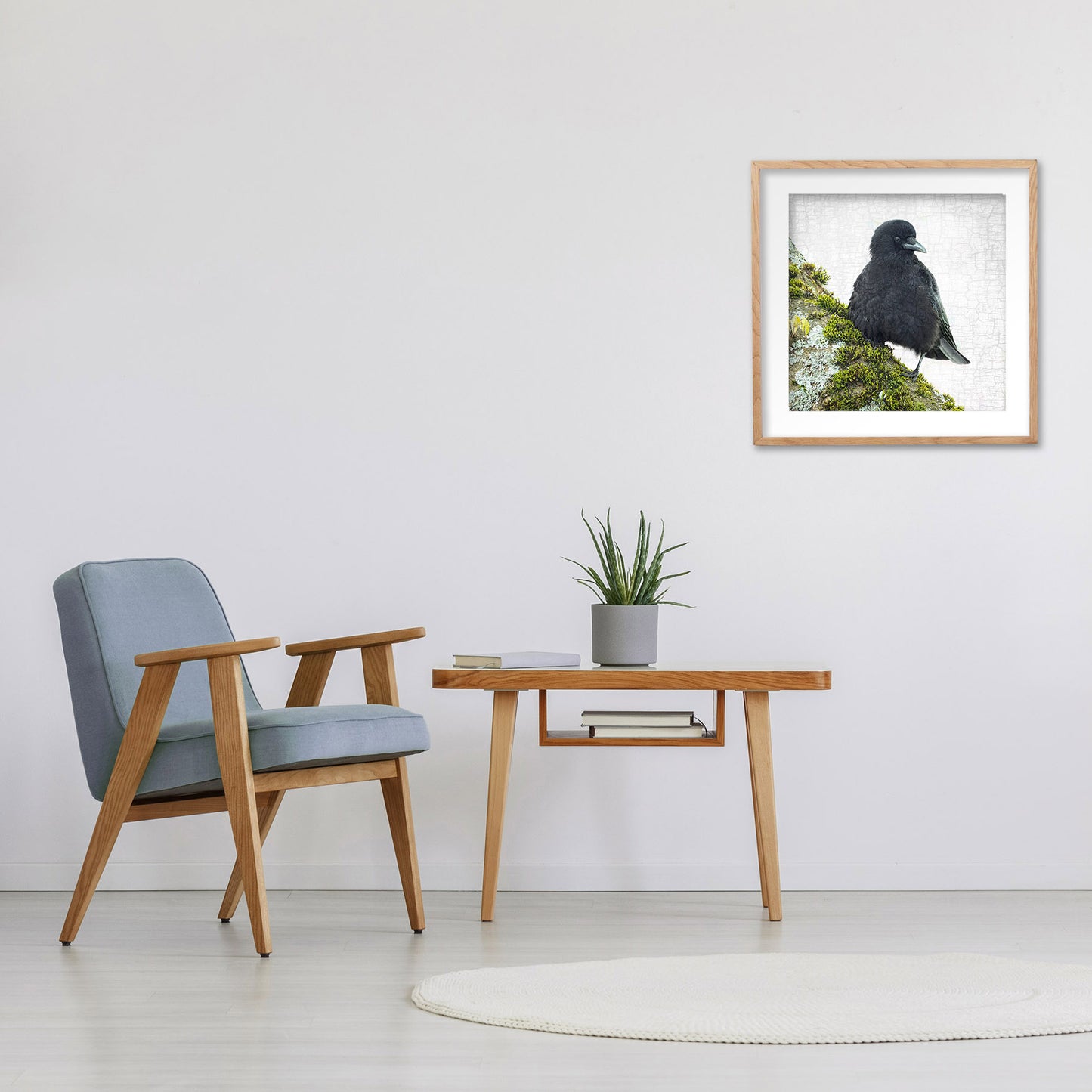 MOSS CROW - Fine Art Print, Crow Portrait Series