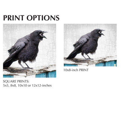 A LOCAL NEWS SOURCE - Fine Art Print, Crow Portrait Series