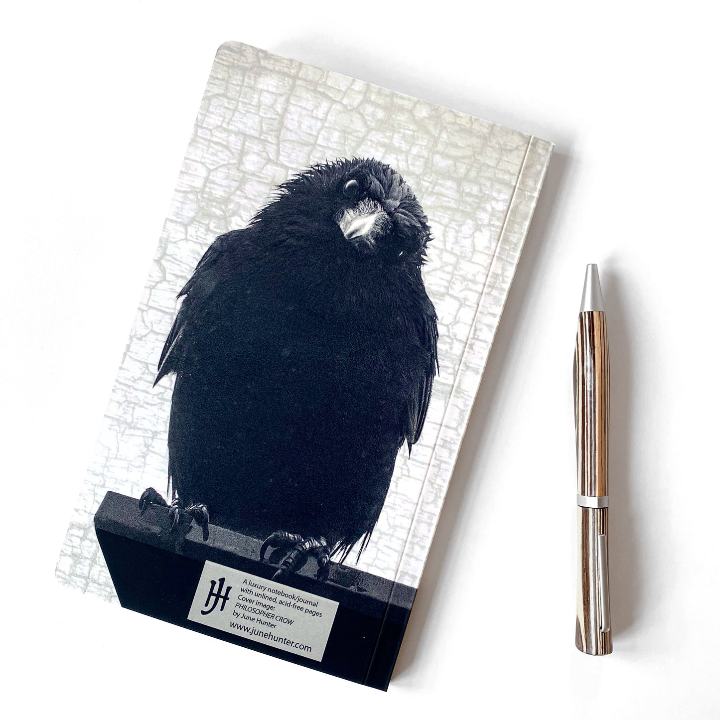 PHILOSOPHER CROW - Small Notebook by June Hunter — SALE