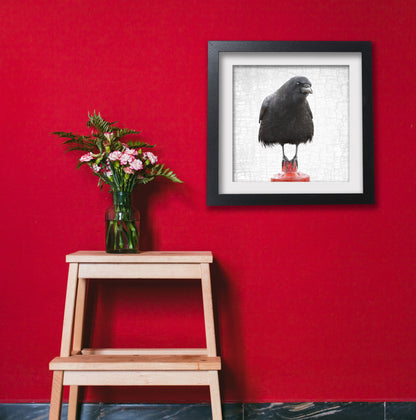 EQUILIBRIUM - Fine Art Print, Crow Portrait Series