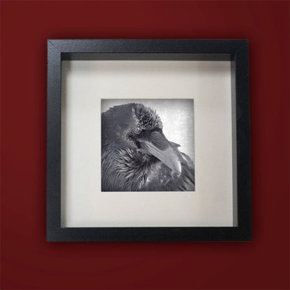 RAVEN THOUGHTS - Fine Art Print, Raven Portrait Series