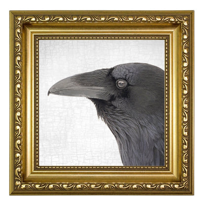 RAVEN BEAUTY - Fine Art Print, Raven Portrait Series