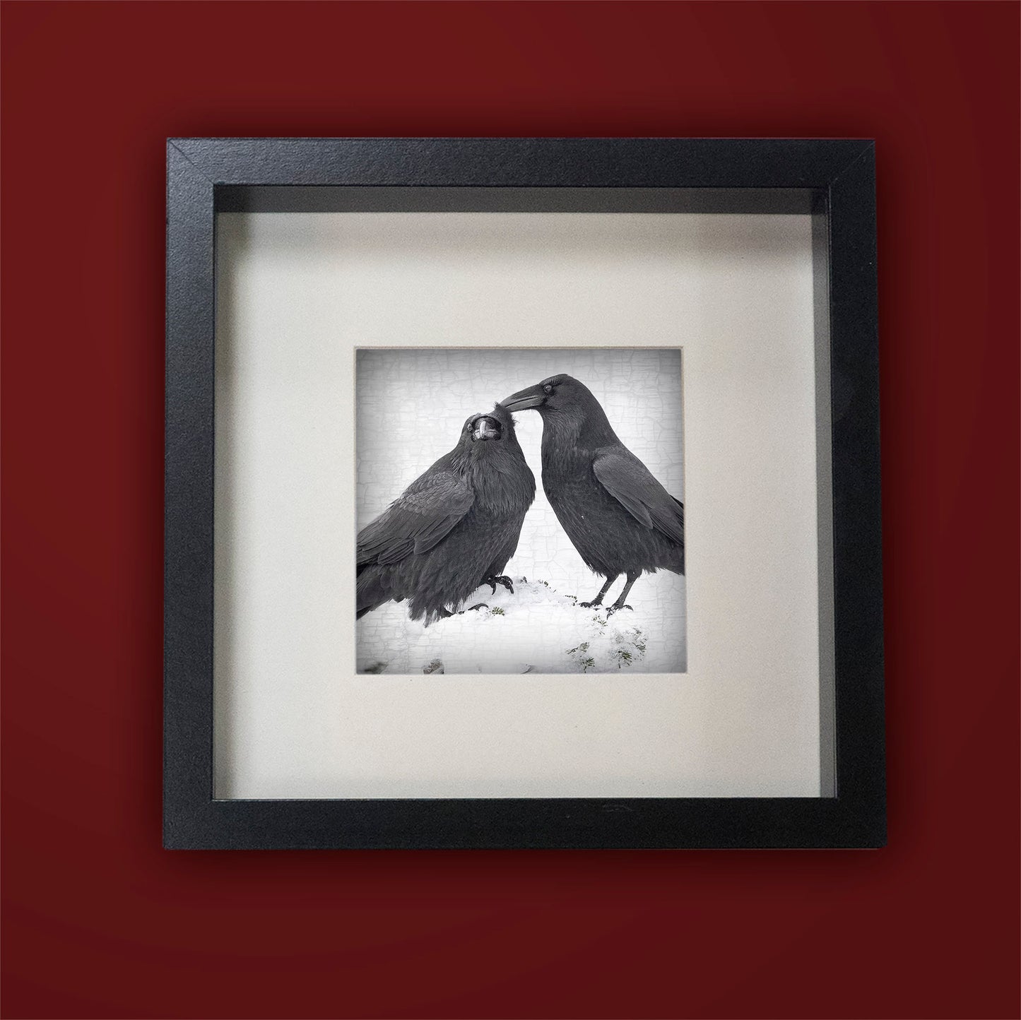 RAVEN LOVE 1 - Fine Art Print, Raven Portrait Series