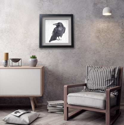 RAVEN LOOKS BACK - Fine Art Print, Raven Portrait Series