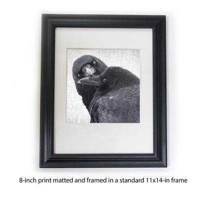 INFINITE CARE - Fine Art Print, Crow Portrait Series