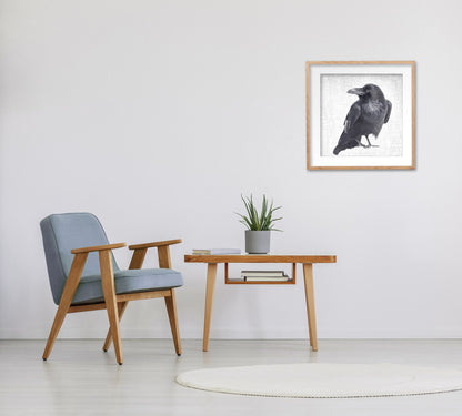 RAVEN LOOKS BACK - Fine Art Print, Raven Portrait Series
