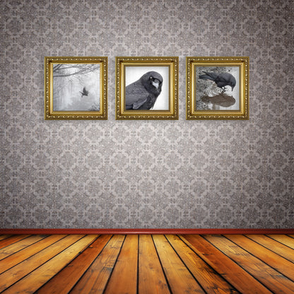 INTO THE MYST-ISH - Fine Art Print, Crow Portrait Series