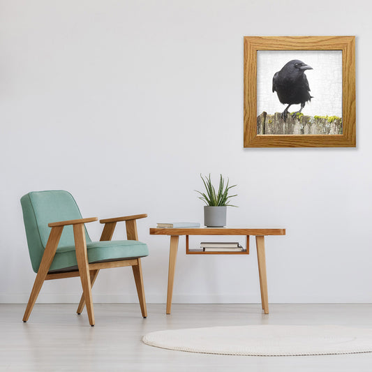 CROW ON A MOSSY FENCE - Fine Art Print, Crow Portrait Series