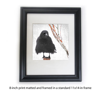 FLOW CROW - Fine Art Print, Crow Portrait Series