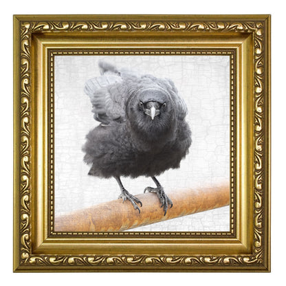 CROW AND RUST - Fine Art Print, Crow Portrait Series