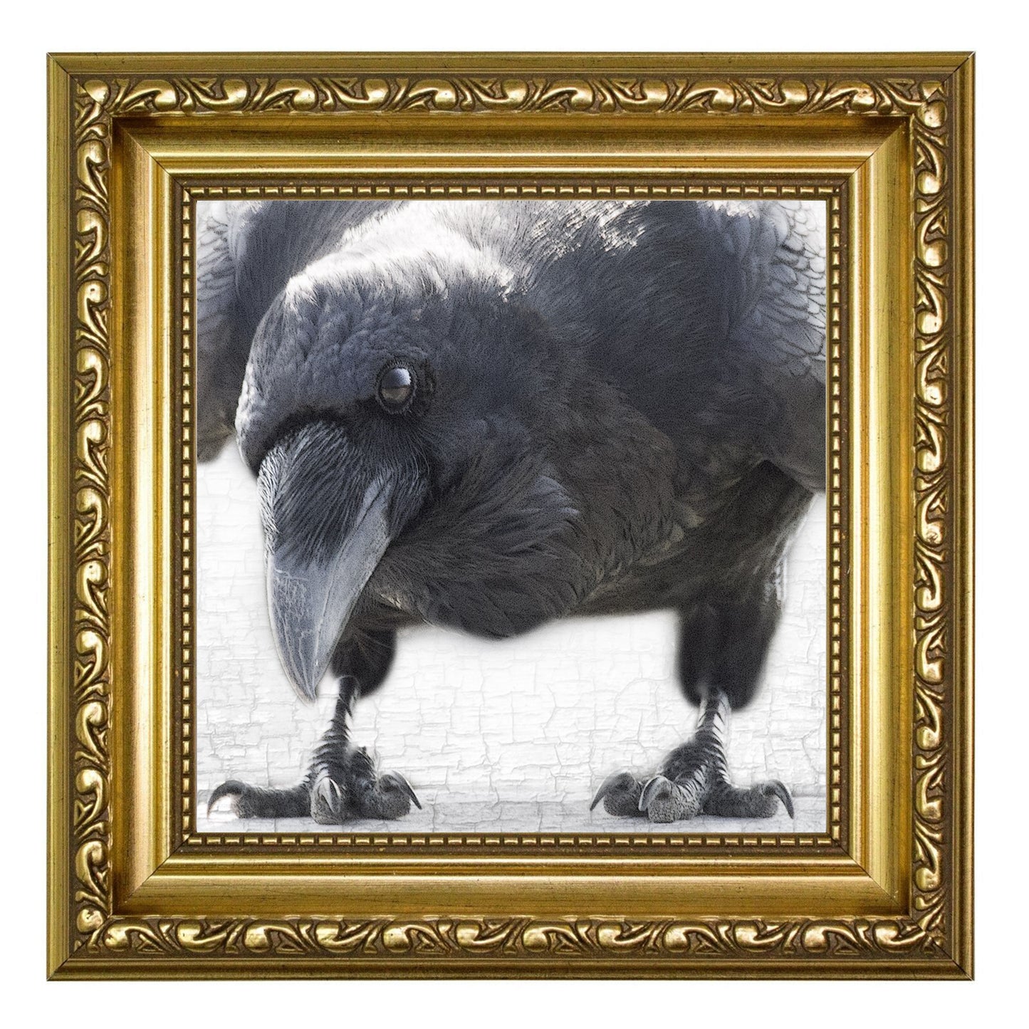 NEVERMORE - Fine Art Print, Raven Portrait Series