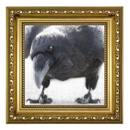 NEVERMORE - Fine Art Print, Raven Portrait Series