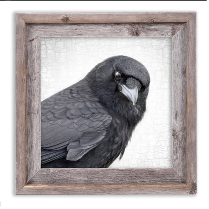 MAGNIFICENT MARVIN - Fine Art Print, Crow Portrait Series