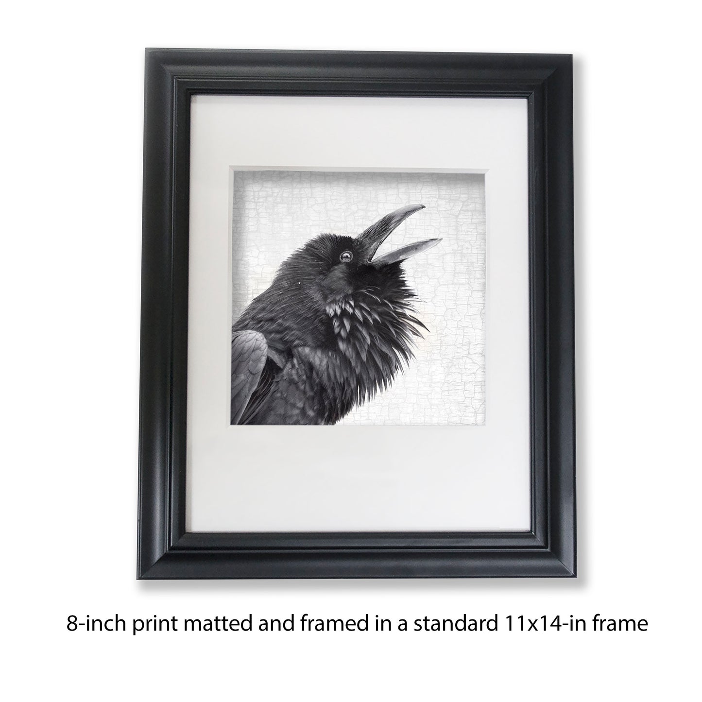 RAVEN CALL - Fine Art Print, Raven Portrait Series