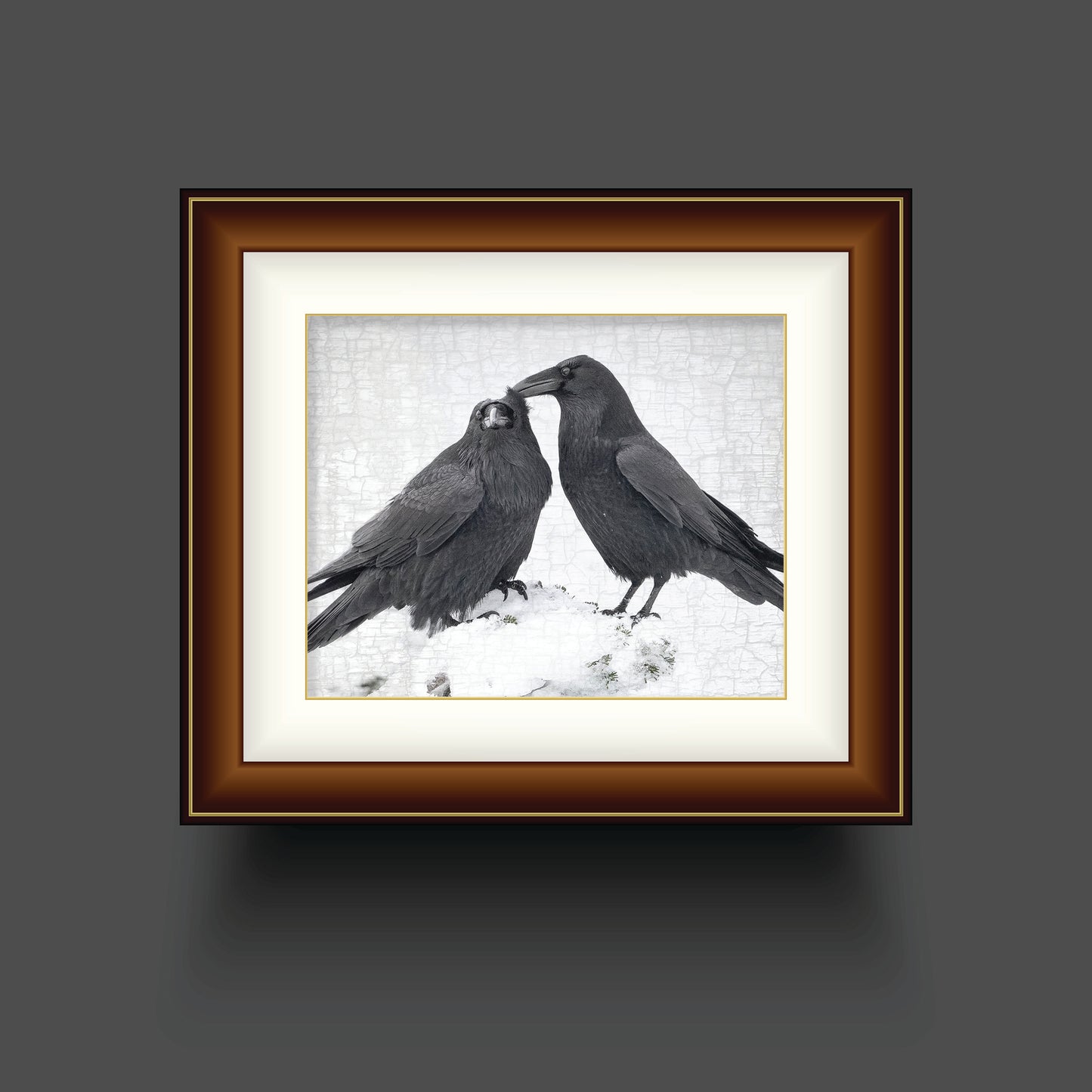 RAVEN LOVE 1 - Fine Art Print, Raven Portrait Series