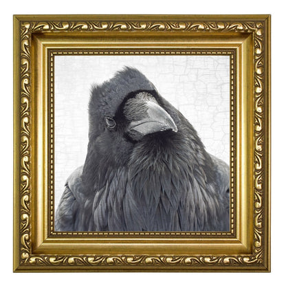 THE THINKER - Fine Art Print, Raven Portrait Series