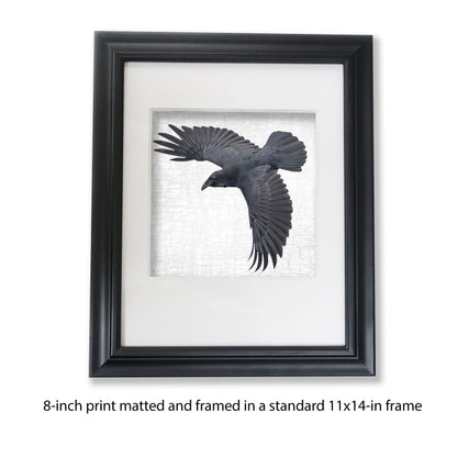 RAVEN'S WINGS - Fine Art Print, Raven Portrait Series