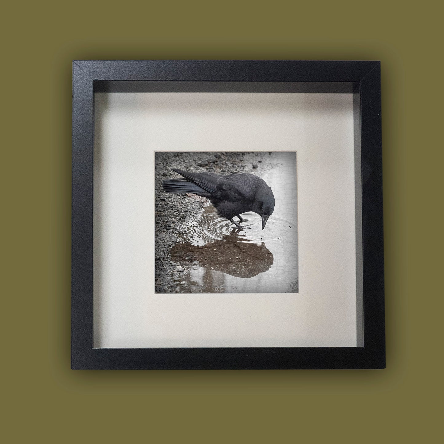 TIME FOR REFLECTION - Fine Art Print, Crow Portrait Series