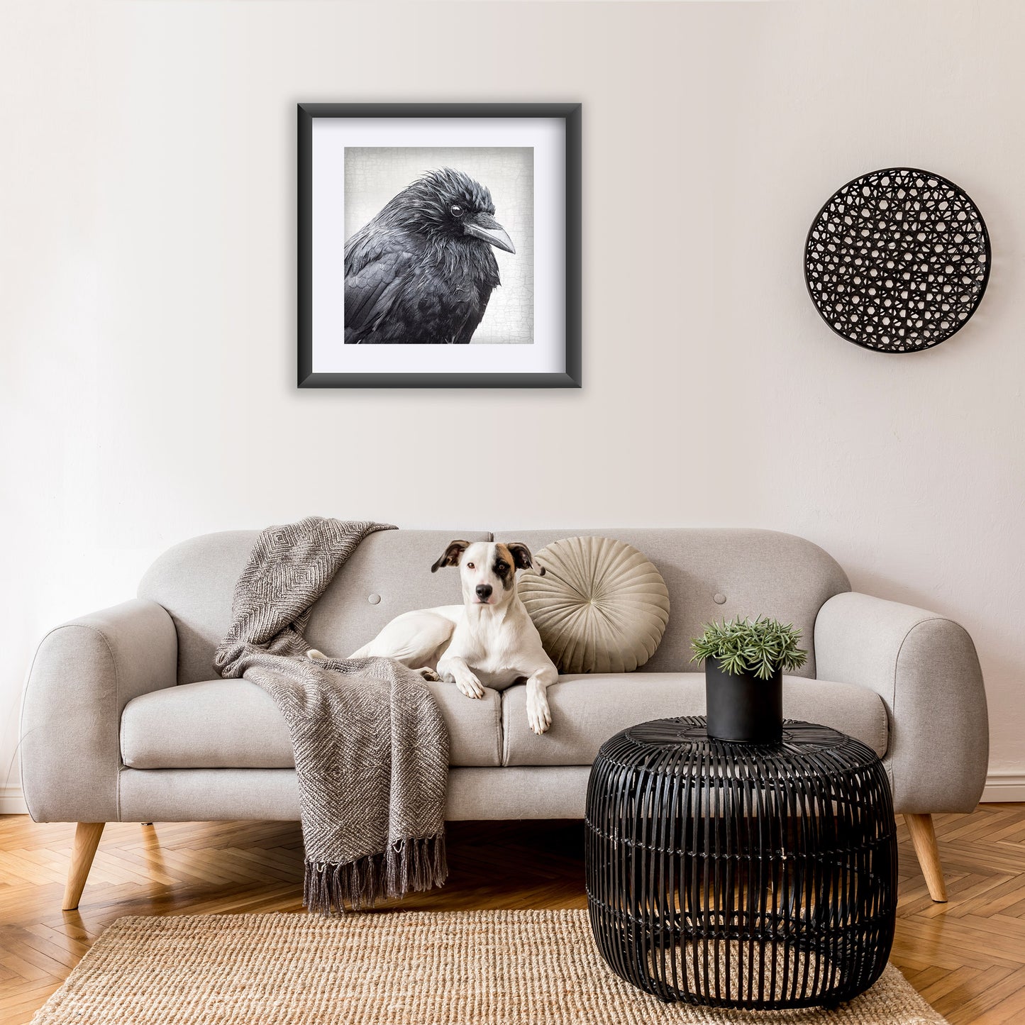 SPRING SHOWERS - Fine Art Print, Crow Portrait Series