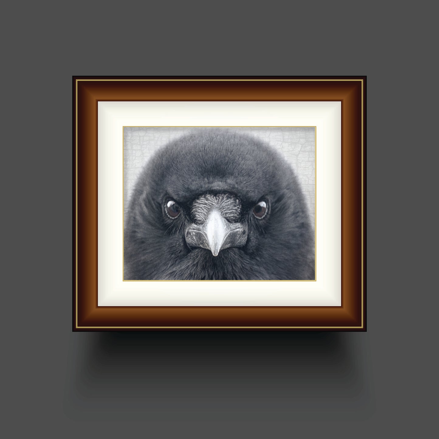 STEADFAST - Fine Art Print, Crow Portrait Series