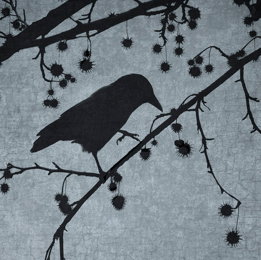 STEP LIGHTLY - Fine Art Print, Blue Crow Series